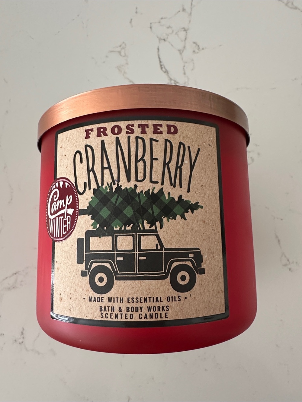 Bath & Body Works Frosted Cranberry Candle - Red & Copper